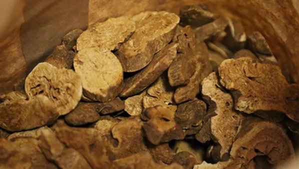 白术会伤肝肾吗