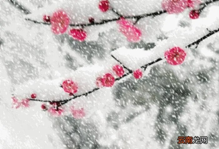 记得添衣~致今生最牵挂的人 天冷了记得添衣服图片