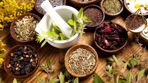 茯苓的功效与作用及食用方法