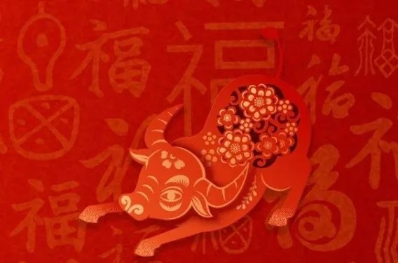 为什么牛年只有354天?