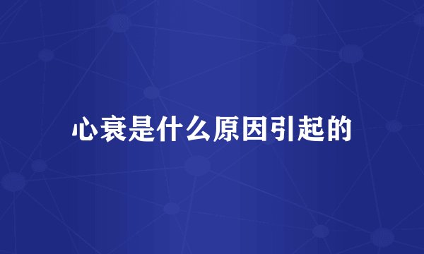 心衰是什么原因引起的