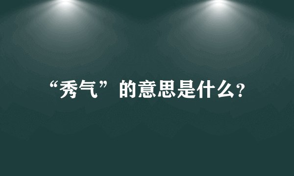 “秀气”的意思是什么？