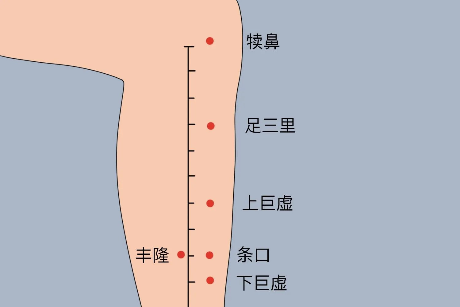 三伏贴治便秘贴哪里图解