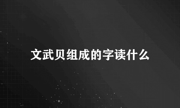文武贝组成的字读什么