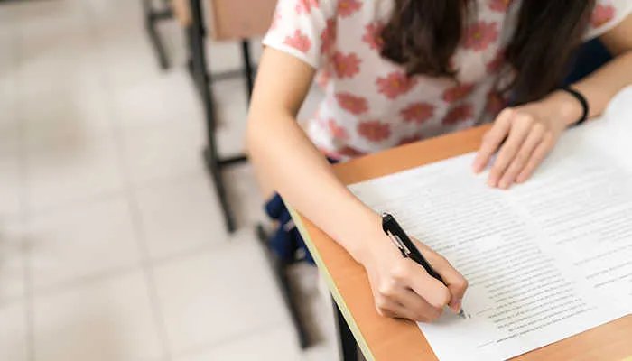 四时田园杂兴其25的意思是什么 四时田园杂兴其25的意思