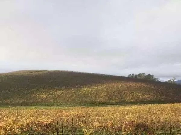 电脑壁纸风景这里是哪里的风景