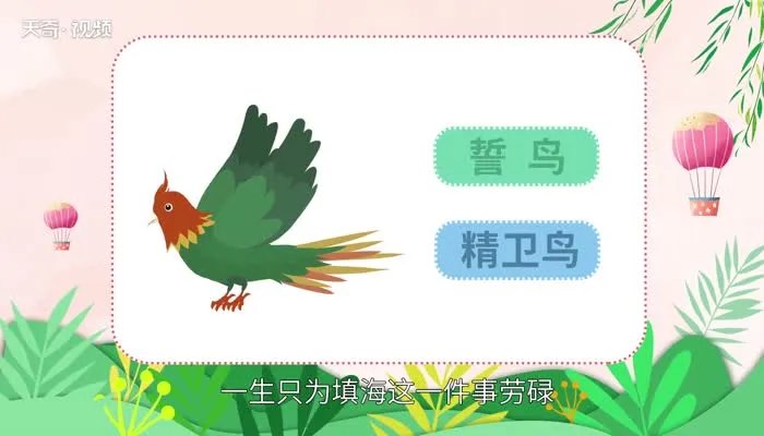 誓鸟的含义是什么 誓鸟是什么意思