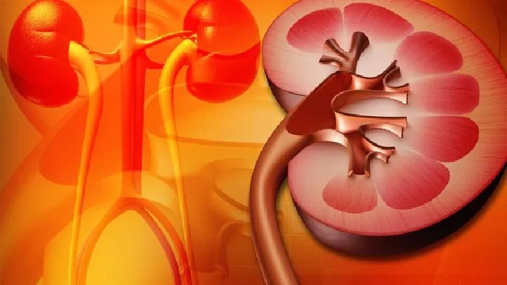 石家庄肾病医院有哪些,肾积水的症状有哪些