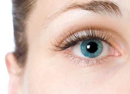 上眼皮抽脂的价格