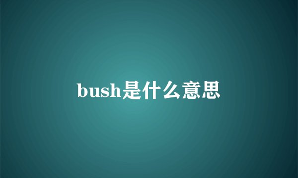 bush是什么意思