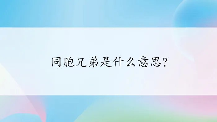 同胞兄弟是什么意思？