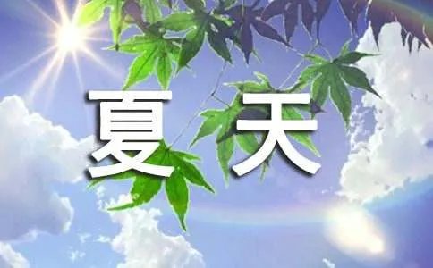 十七岁的夏天作文