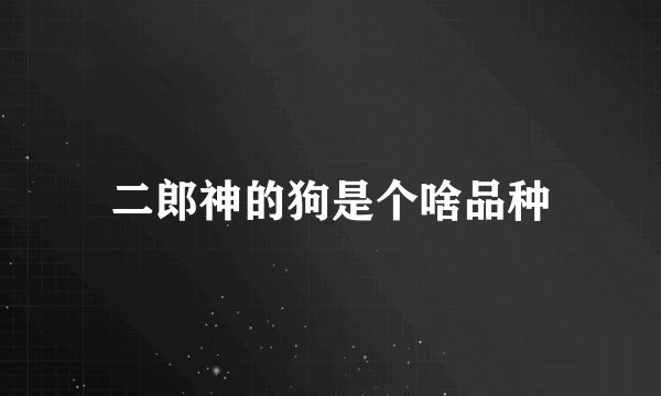 二郎神的狗是个啥品种