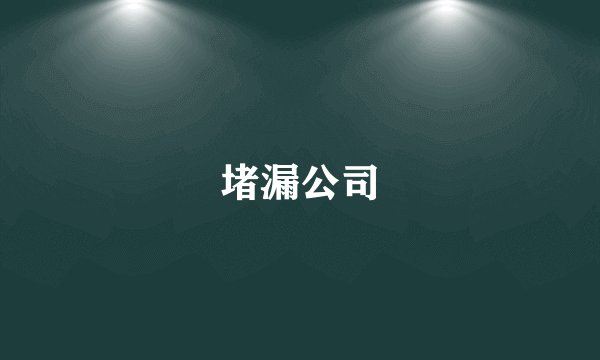 堵漏公司