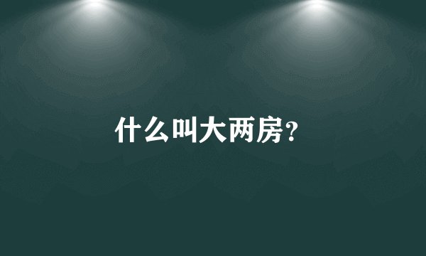 什么叫大两房？