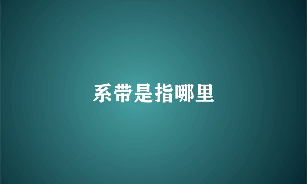 系带是指哪里