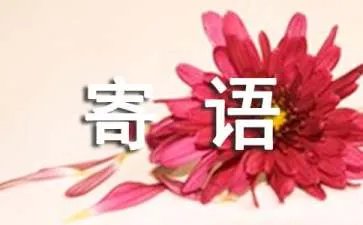 qq空间留言主人寄语