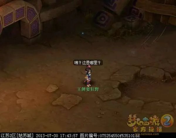 梦幻西游2新角色巫蛮儿渡劫全流程攻略