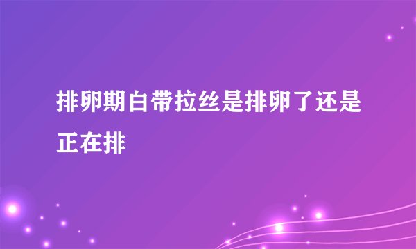 排卵期白带拉丝是排卵了还是正在排