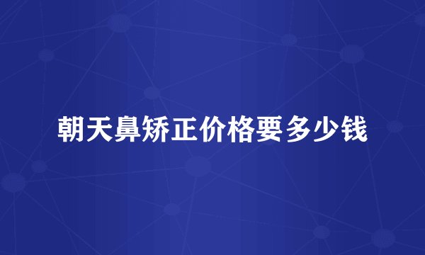 朝天鼻矫正价格要多少钱