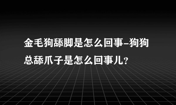 金毛狗舔脚是怎么回事-狗狗总舔爪子是怎么回事儿？