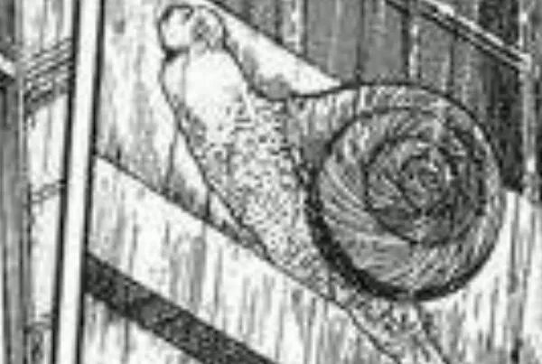 十宗罪蜗牛人真实照片：来自恐怖漫画(与行动缓慢有关)