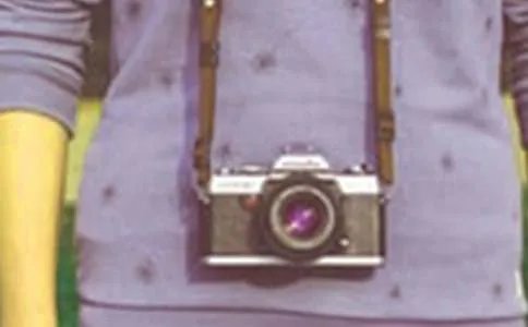 项目经理岗位职责