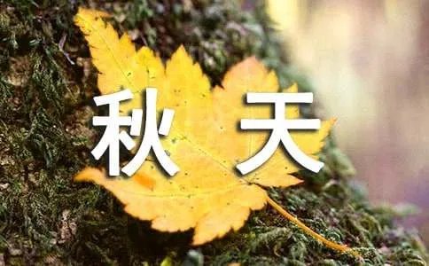 秋天作文200字