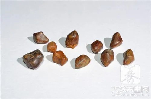  天然琥珀是怎么形成的