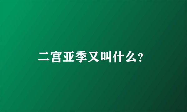 二宫亚季又叫什么？