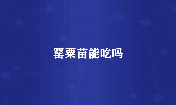 罂粟苗能吃吗