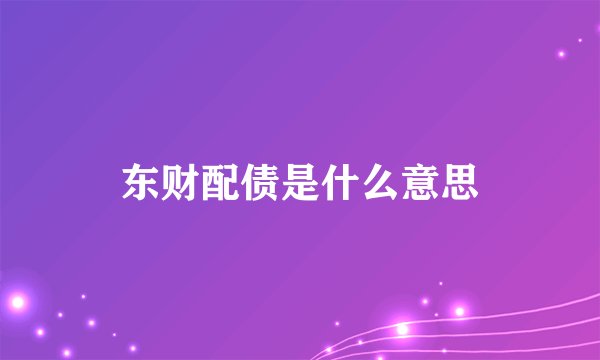 东财配债是什么意思