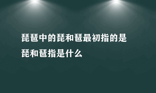 琵琶中的琵和琶最初指的是 琵和琶指是什么