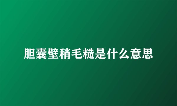 胆囊壁稍毛糙是什么意思