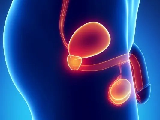 选择性蛋白尿的症状