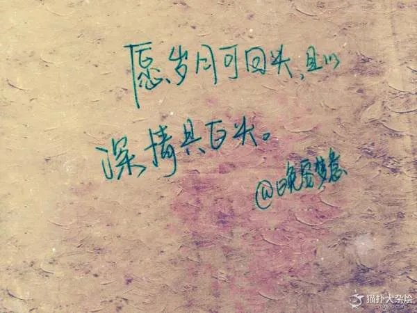 爱那一句话的歌词