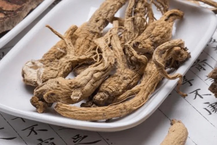 当归高清图片大全