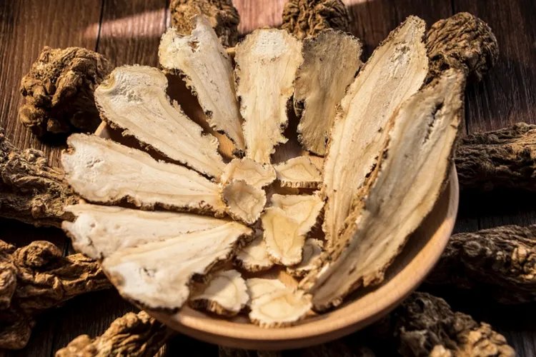 当归高清图片大全