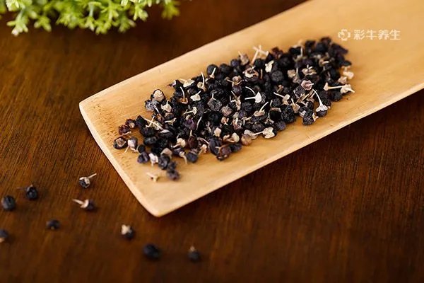 黑枸杞泡水喝的正确方法