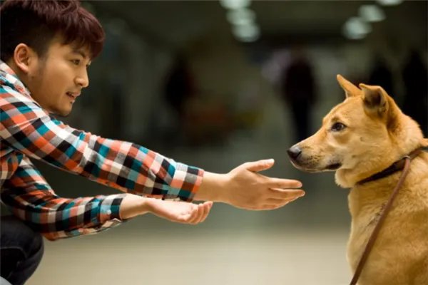 十大最催泪的感人微电影：《拾荒少年》上榜，第六探讨婆媳关系