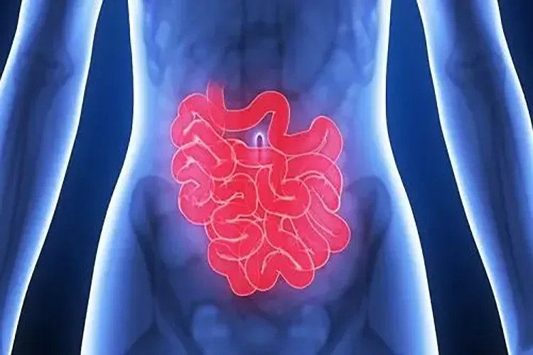 肚脐眼左边是什么部位