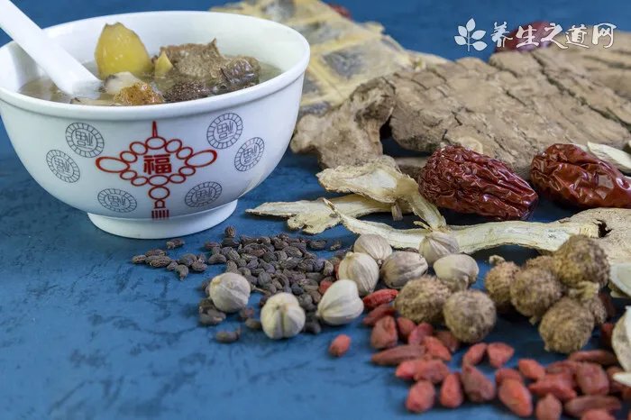 二十八味毒性中药图谱一览