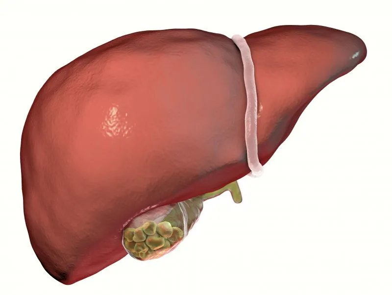 肝功能检查的指标