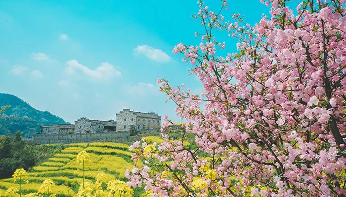 桃花的唯美句子