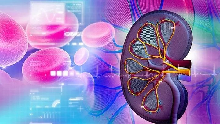 肾虚的症状有哪些?