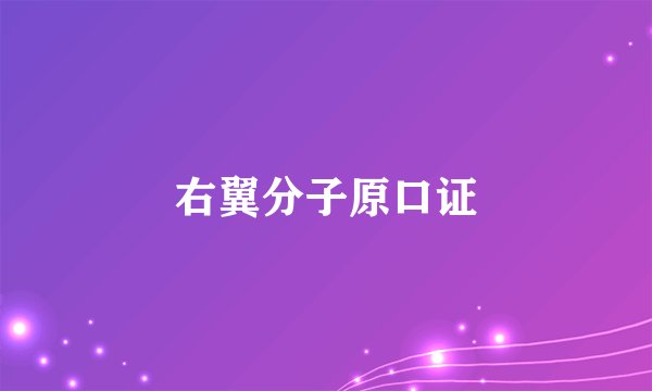右翼分子原口证