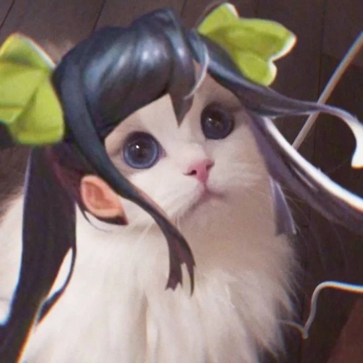 《王者荣耀》猫咪接头头像大全