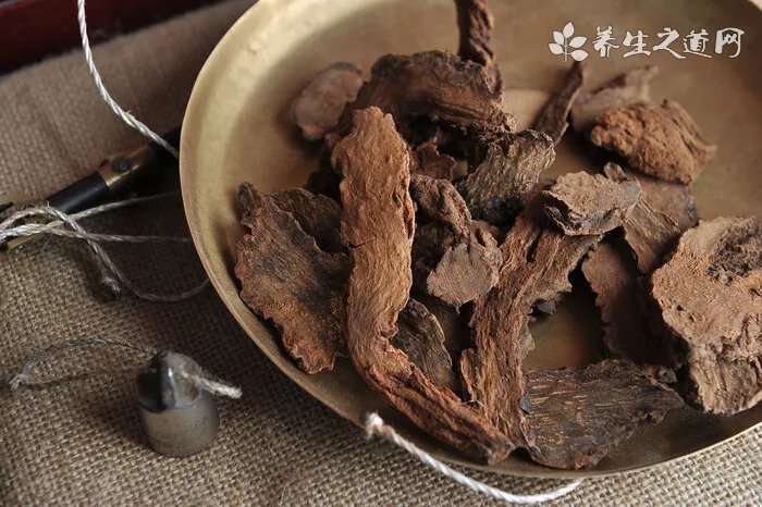 仓鼠湿尾病的症状及预防方法