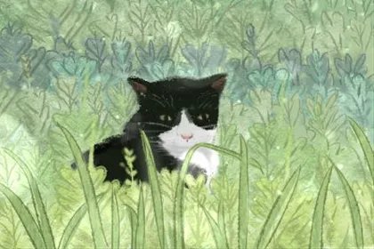 属蛇办公室风水布局 属蛇办公室摆什么