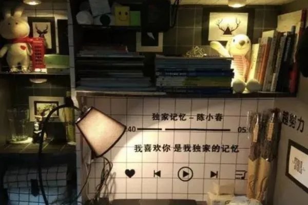 “人类高质量”宿舍是什么梗？你见过最好的宿舍在哪里？
